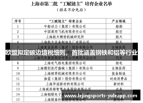欧盟拟定碳边境税细则，首批涵盖钢铁和铝等行业