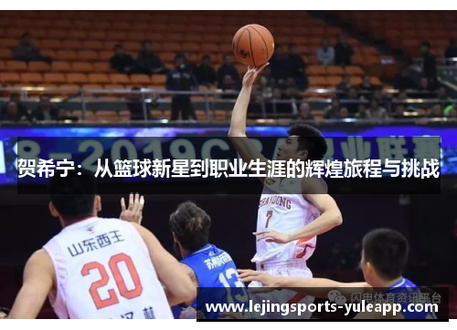 贺希宁：从篮球新星到职业生涯的辉煌旅程与挑战
